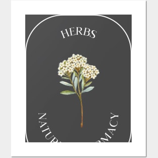 herbs natures pharmacy Posters and Art